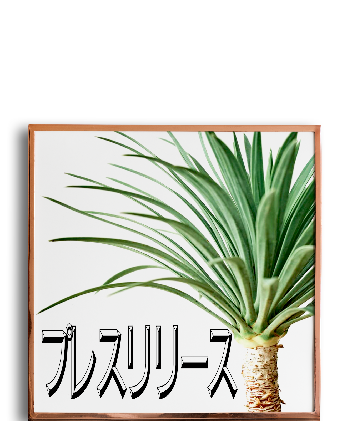 プレスリリース